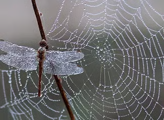 You Start: The Divine Partnership