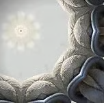 प्रकाशकण